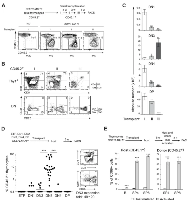 Fig. 1. The SCL and LMO1 oncogenes confer an aberrant self-renewal potential to DN3 pre-leukemic thymocytes