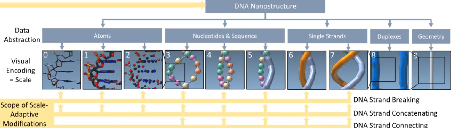 Fig. 1: The DNA’s atomic details are increasingly abstracted and seamlessly transitioned across ten semantic scales