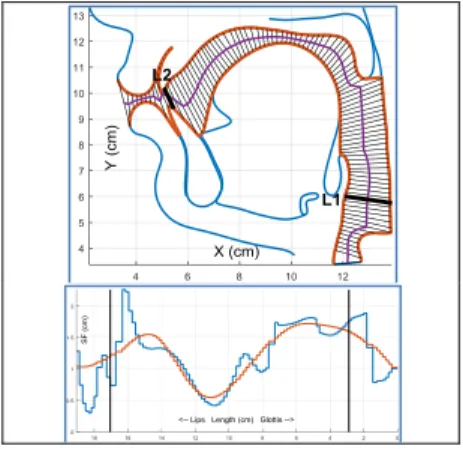 Figure 4: Mean contour (top) of phoneme [u] 