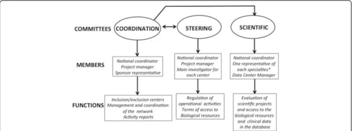 Fig. 1 Governance of the BACAP cohort. Details of the various committees responsible for the governance of the cohort with their members and main functions (*: oncology, gastroenterology, pathology, epidemiology, surgery, basic science)