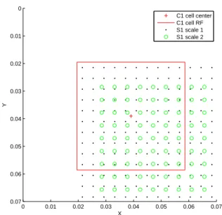 Figure 6. Common coordinate positions for several layers of an FH model. The C1 cell shown is a corner cell of a layer that has been arranged to perform a 10x10 valid convolution over the layer representing the first S1 scale