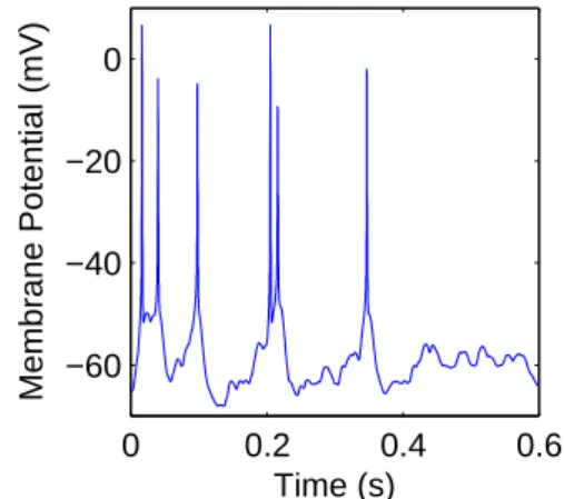 Figure 2. Voltage trace output for one cell in a Hodgkin-Huxley model (see section 2.1).