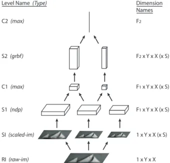 Figure 3. An example of an HMAX model (see section 2.2). Each step is performed at multiple scales, only three of which are shown here.
