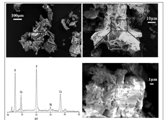 Figure 4 : SEM images and EDX spectrum for samples a) Cu20 and b) Sr20 