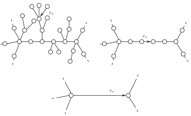 Figure 5: Top-left: a portion of a map m, emphasizing the tree components branching on m ≥2 depicted on top-right