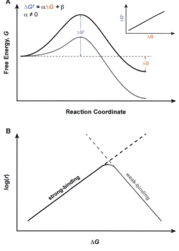 Figure  1.2  Linear  free-energy  scaling  relationships  and  their  implications  for  catalysis