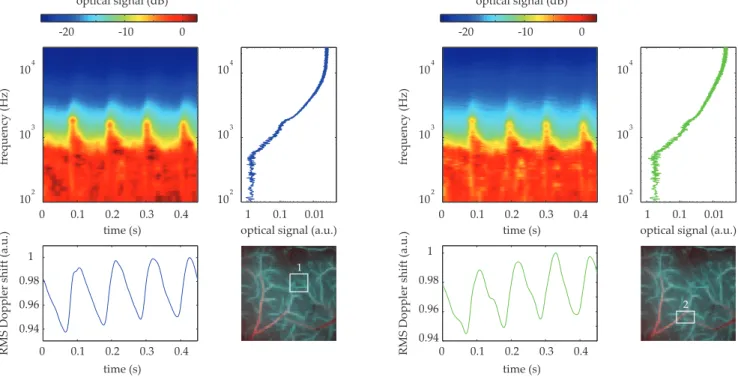 FIG. 4: Optical signals averaged spatially in region 1 (left pane, blue lines) and region 2 (right pane, green lines), depicted in Fig