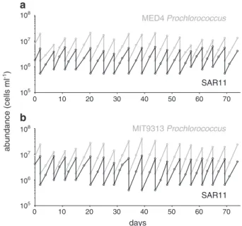 Fig. 3 Cell abundance as a function of time in log-phase, semi- semi-continuous batch co-cultures of SAR11 (Pelagibacterales sp.
