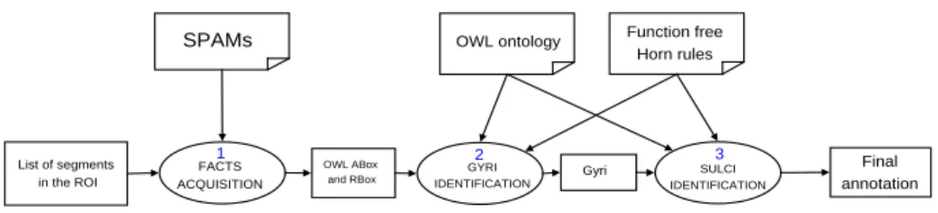 Figure 7: Labelling process