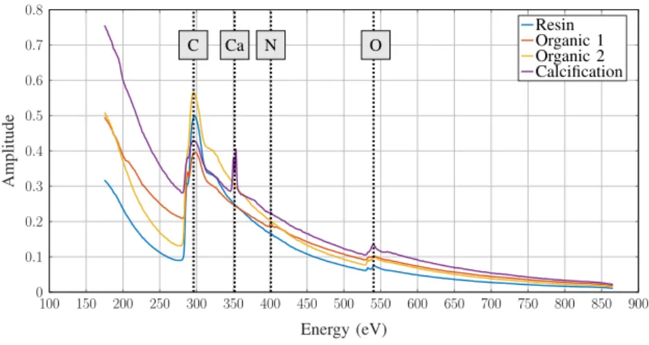 Fig. 3. The N c = 4 endmember spectra represented as amplitude vs. energy loss (in eV)