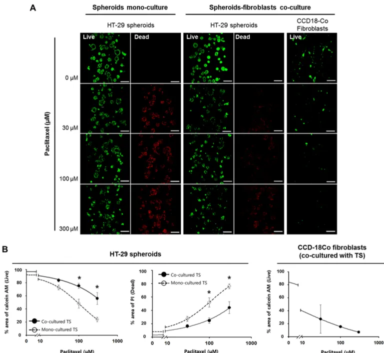 Fig 6. Differential sensitivity of HT-29 tumor spheroids to paclitaxel treatment. (A) Fluorescence images of HT-29 tumor spheroids and CCD- CCD-18Co fibroblasts stained with calcein AM (viable) and PI (dead)