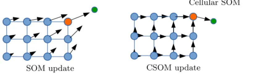Fig. 1. Weight update rule on SOM and CSOM.