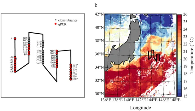 Fig. 1. The cruise track and sample stations are shown in panel (a), with the sample stations used for clone libraries (asterisk) and qPCR (red) highlighted