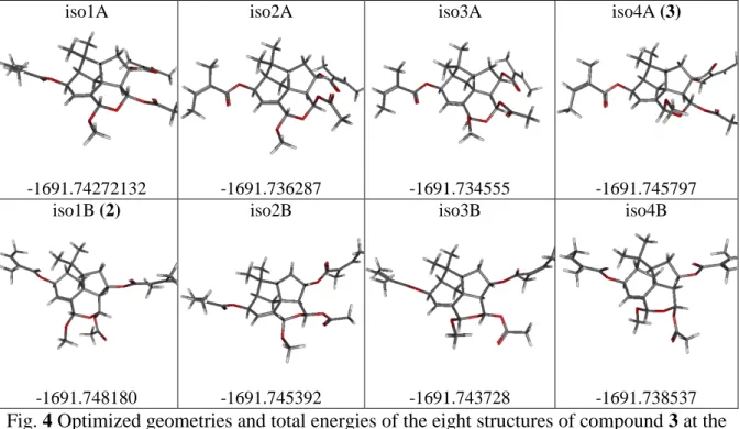 Fig. 4 Optimized geometries and total energies of the eight structures of compound 3 at the  B3LYP/6-31+G(d,p) in the gas phase