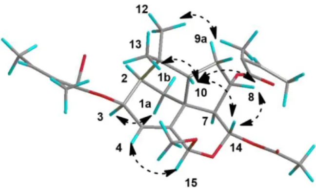 Fig. 5 Key NOESY correlations for compound 3 