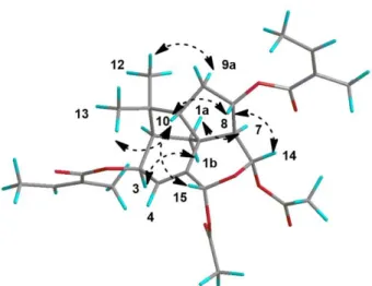 Fig. 3 Key NOESY correlations for compound 1 