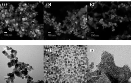 Figure 7. (a) SEM micrograph of PdNPs at 2 min. (b) SEM micrograph of PdNPs at 30 min