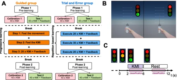 Fig. 1. (A) First phase including both a calibration and a test steps. One group (n=17) benefited from progressive learning guided by an instructor and with Grasp-IT (called Guided Group)