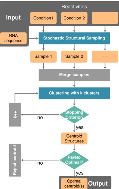 Figure 1: IPANEMAP workflow: IPANEMAP takes as input an RNA sequence with profiling data, denoted by reactiv- reactiv-ities, from various experimental conditions