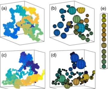 FIG. 1 (color online). The coalescence model combines a simulation of coalescing spherical drops (b),(d),(e), with  esti-mates for distances between monomer pairs in the final structure.