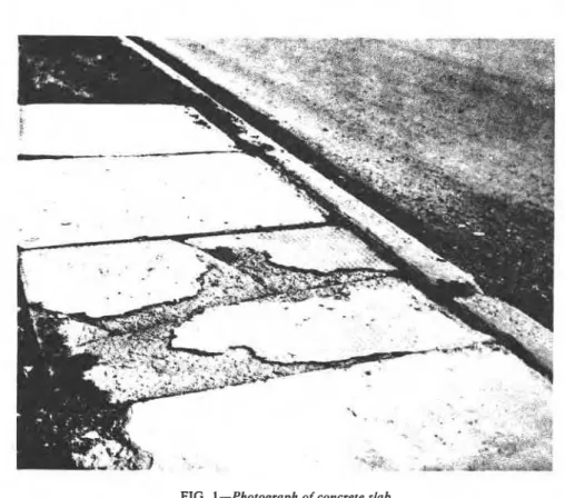 FIG.  1  -Photograph  of  concrete slab. 