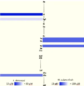 Figure 3. Heatmap of active compounds against L. donovani and M. 