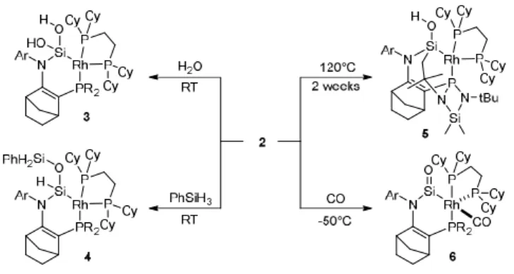 Figure  3.  Calculated  reaction  pathways  for  the  hydrogenation  of  2’ 