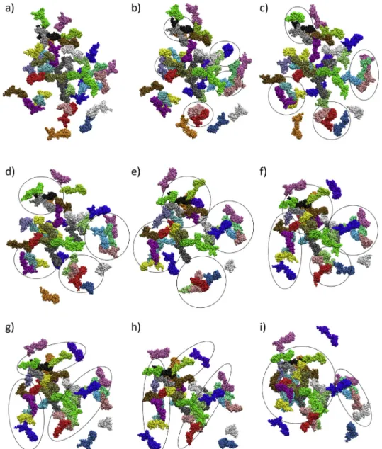Fig. 5. Representative (a) small cluster 10.2 nm in diameter and (b) large cluster network 70.1 nm in diameter at 20  C