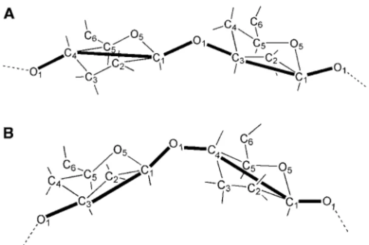 FIGURE 3 Deﬁnition of the coarse-grained model bonded backbone structure (thick solid lines) based on the all-atom disaccharide representation for (top) b 1,3 and (bottom) b 1,4 linkages.