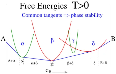 Figure 2-2: Thermodynamics determines the stability of the various phases. The free energies of the phases have shape of “parabolas” centered at the ground state  energies-concentrations points