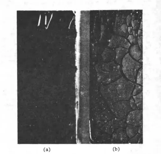 FIG.  4-Rubberized  asphalt:  ( a )  unexposed.  and  ( b )  after  18  months' exposure  in  climate  lab