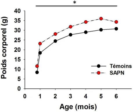 Figure 12 : Evolution de la masse pondérale au cours du temps au sein des 2 groupes expérimentaux