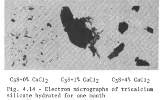 Fig. 4.14  -  Electron micrographs of tricalcium  silicate hydrated for one month 
