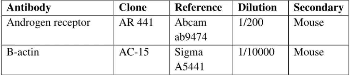 Table 1. Primary antibodies use in western blot. 