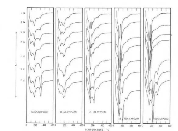 Fig.  1  -  D i f f e r e n t i a l   thermal  behaviour  of  C4AF  +  gypsum  (140  MPa)  hydrated  t o   d i f f e r e n t   p e r i o d s   a t   2S°C 