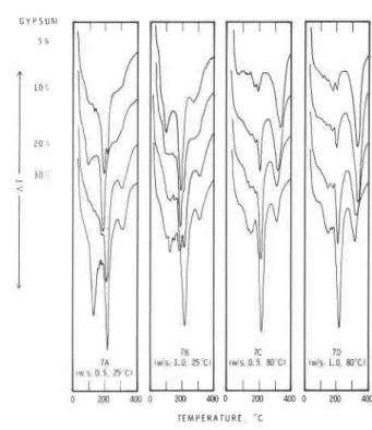 Fig. 7 -  Differential thermal behaviour of  CqAF-gypsum (w/s 0.5  or 1.0)  hydrated  for  2 days at 25°C  or 80°C 
