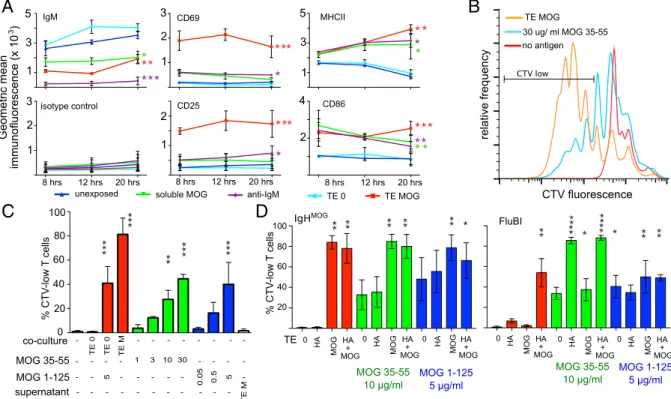 Fig. 2. Immunological sequelae of membrane antigen capture. (A) Changes in surface expression of various molecules following antigen capture