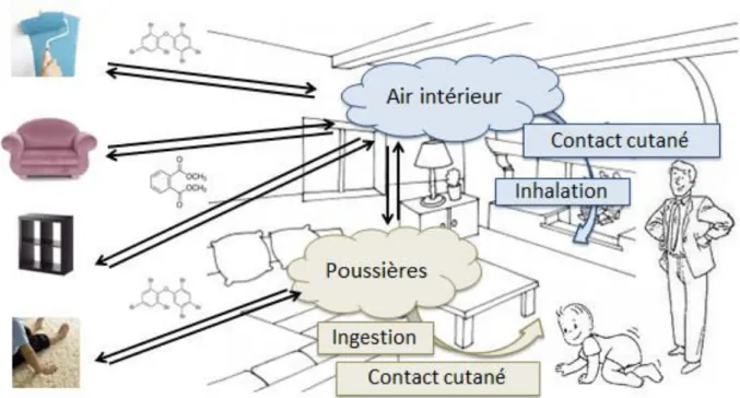 Figure 3  : Sources d’émission et voies d’exposition des COSV dans  l’environnement intérieur 