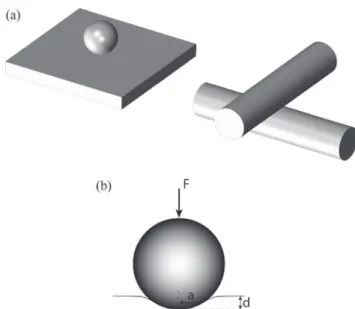 Fig. 10. Picture of SM sample after friction test showing the wear of the sizing. (For interpretation of the references to colour in this figure legend, the reader is referred to the web version of this article.)