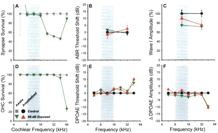 Figure  2.1.  Noise-exposure  causes  permanent  synaptic  loss  with  minimal  permanent  threshold  shift