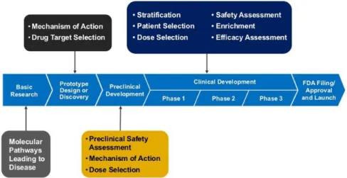 Figure 2.12  Quelques exemples d'usage des biomarqueurs dans les diérentes phases de R&amp;D des médicaments, extraite de [FDA 2005]