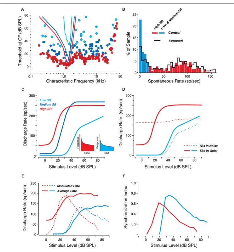 FIGURE 2 | Response differences among cochlear nerve fibers of the three SR groups. (A) Threshold tuning curves of example high-  medium-and low-SR fibers (see key in C) are superimposed on a scatterplot of thresholds at the characteristic frequency (CF) f