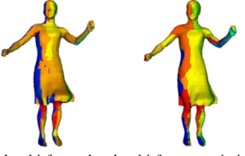 Figure 6. Color-coded partition of the surface obtained on the