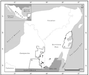 Tab. 1: Collecting sites of Neoponera villosa ants nesting in Aechmea bracteata bromeliads in the southern region of the Yucatan  Peninsula, Mexico, and number of colonies collected