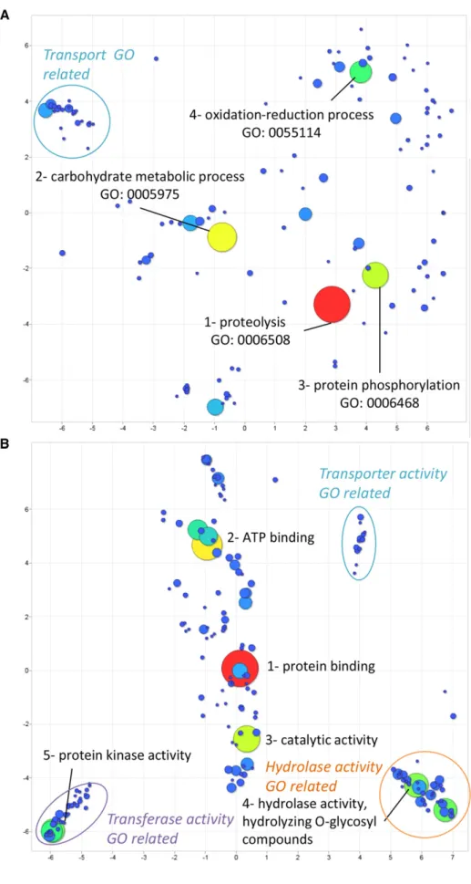 Figure 2 Biological Process and Molecu- Molecu-lar Function GO enrichment of the  secre-tome.Putative secreted protein functional enrichment of GO terms