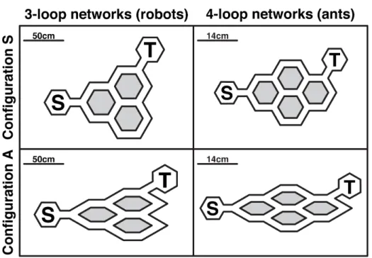 Figure 1. Schematic description of the experimental networks. The left column corresponds to three-loop networks used in our robotic experiments, the right column to four-loop networks used in ant experiments in [16]