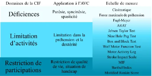 Figure 2-2). Dans cette partie seront détaillées dans un premier temps les échelles évaluant la  parésie  et  les  syncinésies  en  tant  que  déficiences  prédominantes  de  l’hémiparésie  spastique