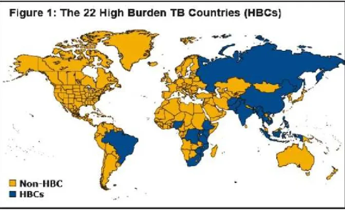 Figure 1 : Les 22 pays les plus touchés par la Tuberculose 