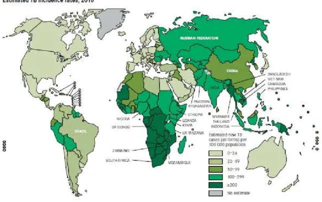 Figure 3 : Disponibilité des données sur la résistance aux antituberculeux selon les pays