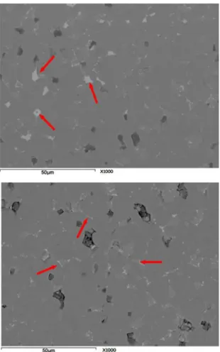 Fig. 8. SEM image of MOV C ( × 2000) (ZnO grains: dark gray, spinel phases: